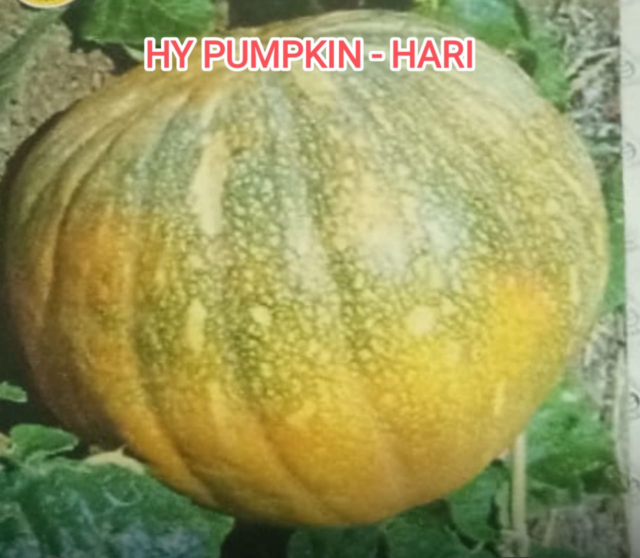 #